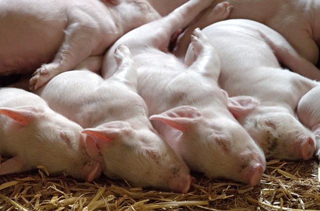 Coronavirus is making an entrance onto agricultural markets
