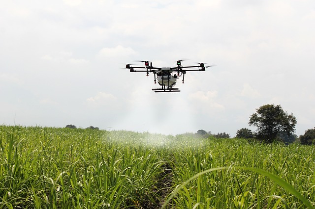 Microsoft lance un programme d’aide aux start-up de l’agtech indiennes