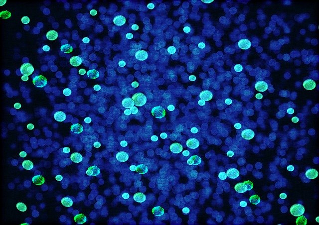 Tell us about your microbiome, and we’ll tell you what illnesses you’ll get