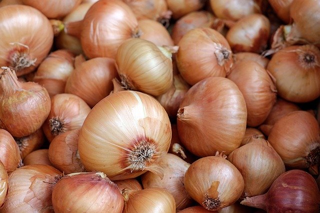 Massive destruction of food in the United States