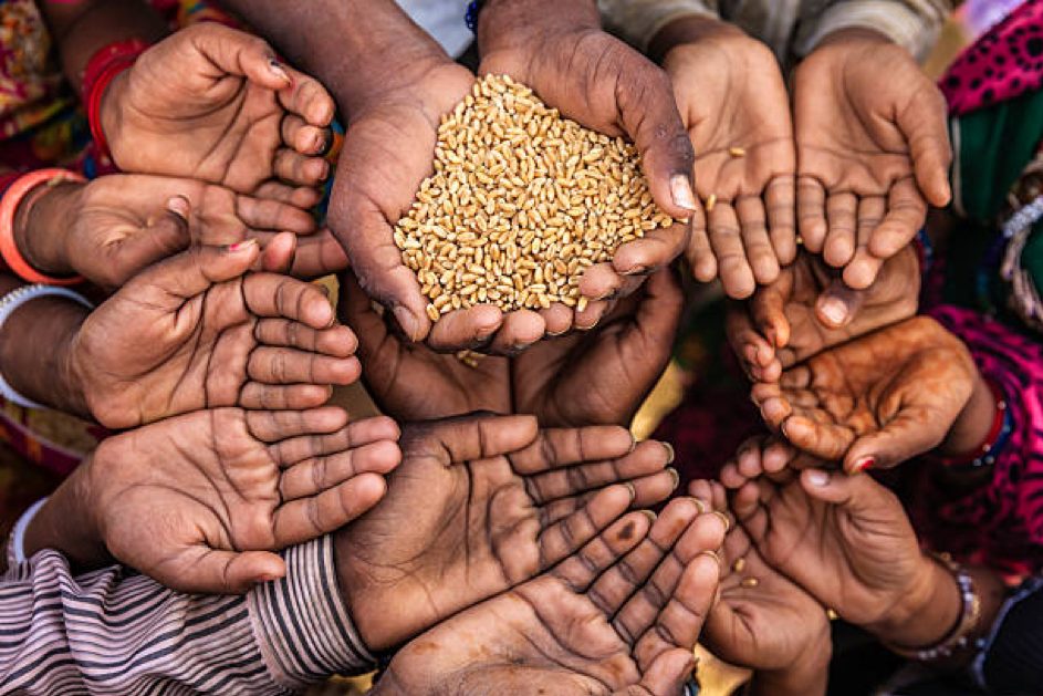 LA FAO EN QUÊTE DE PARTENARIATS