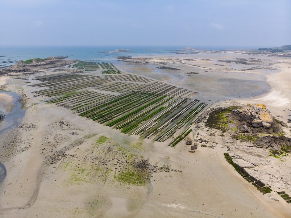 La mer au service de l’agriculture tunisienne