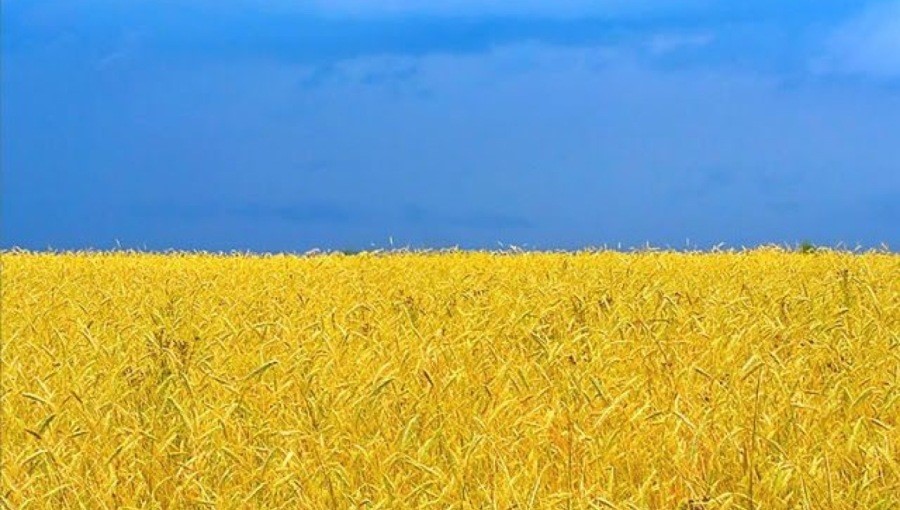 The War in the Ukraine and food security in Africa