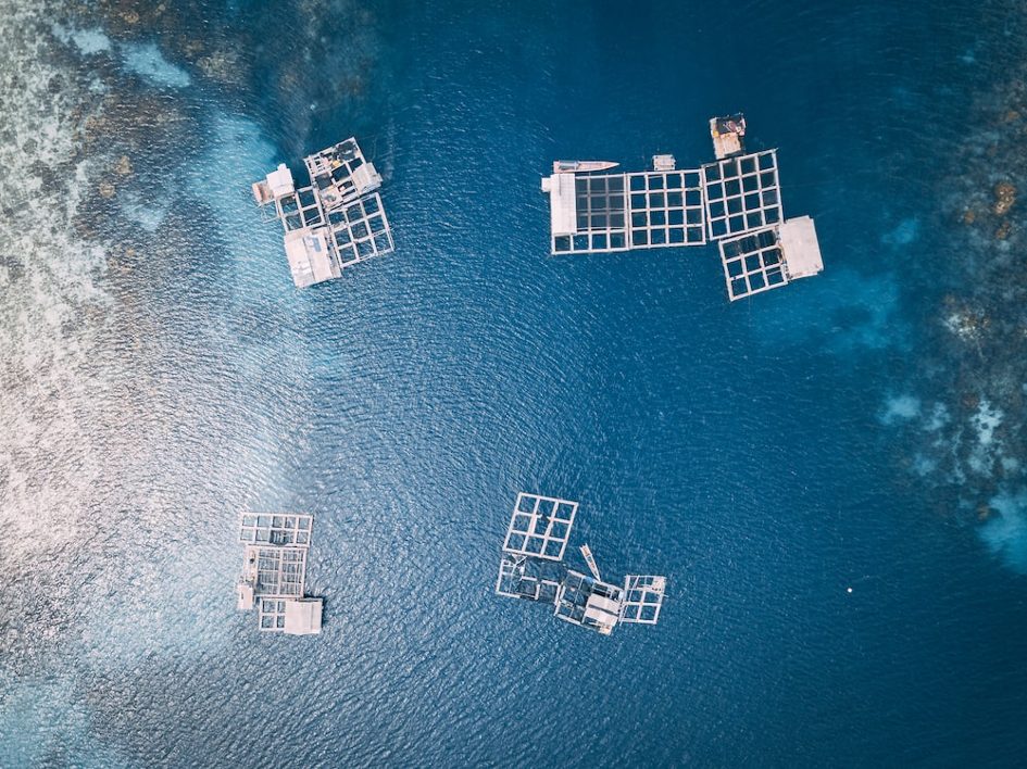 Vietnam : moderniser l’aquaculture