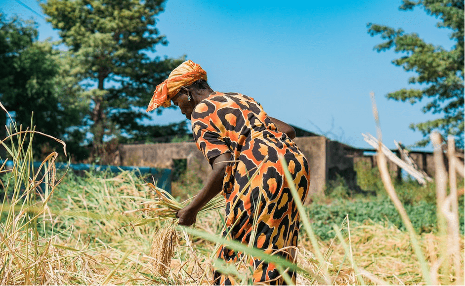 Senegal is attempting to organize its agroecological transition