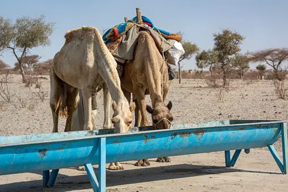 $40 millions for the implementation of climate actions in Africa