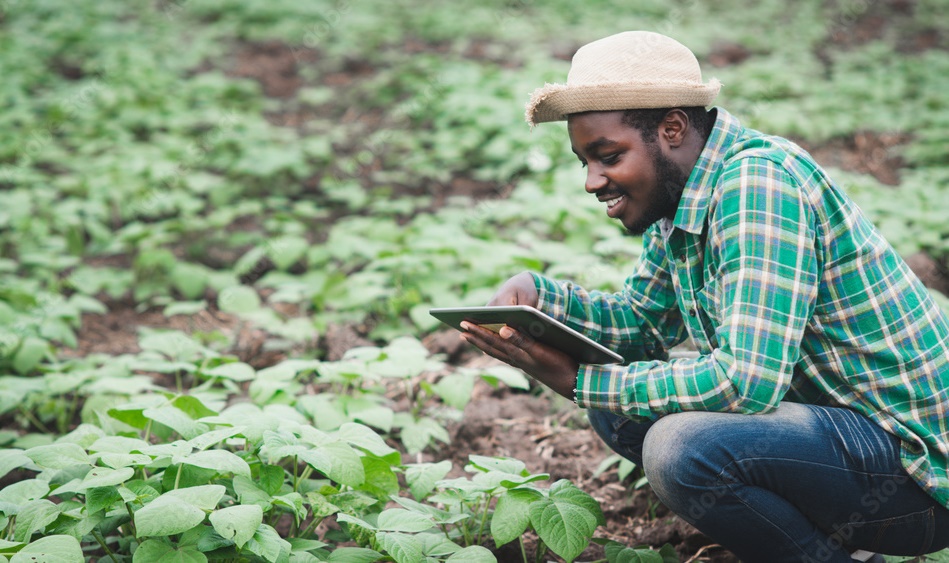 L’Afrique est absente des marchés mondiaux des oléo-protéagineux