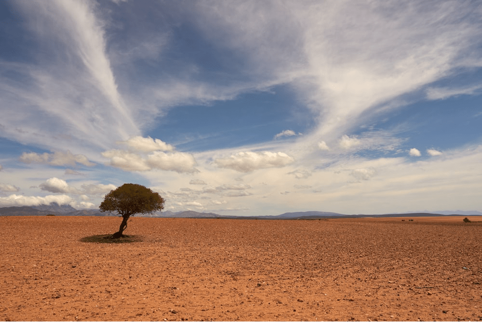 Le réchauffement climatique impacte plus brutalement les sols que l’atmosphère