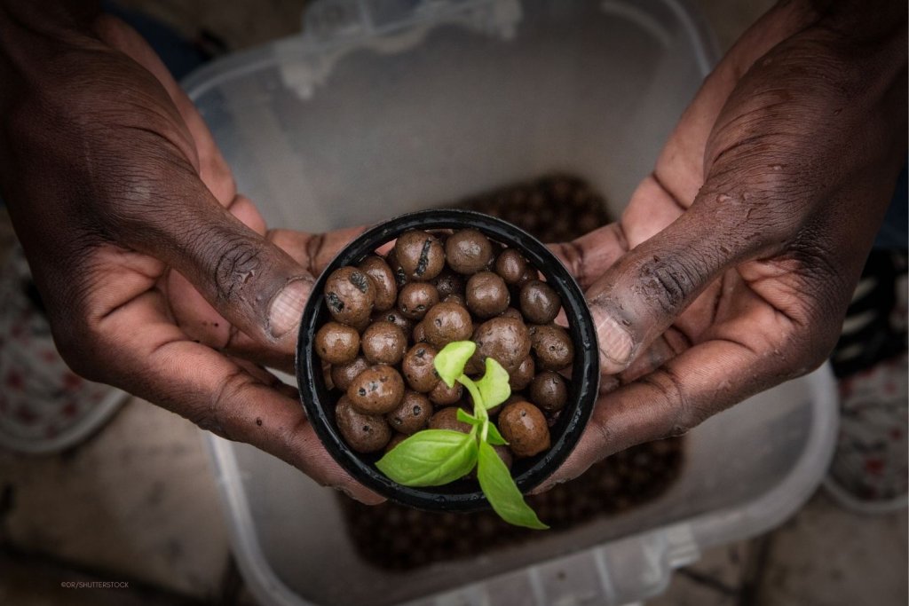 Sécurité et souveraineté alimentaires en Afrique