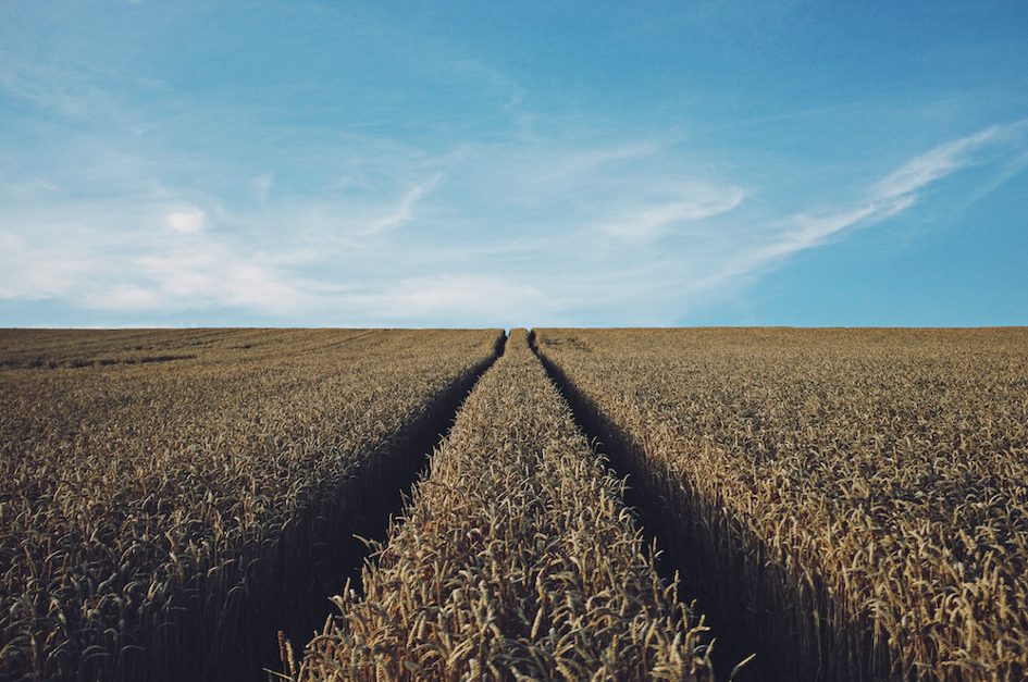 L’accaparement des terres menace la sécurité alimentaire