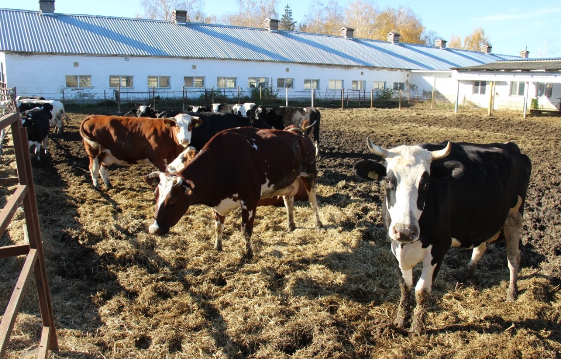 Comment l’agriculture ukrainienne a résisté à deux ans de guerre – Partie 2