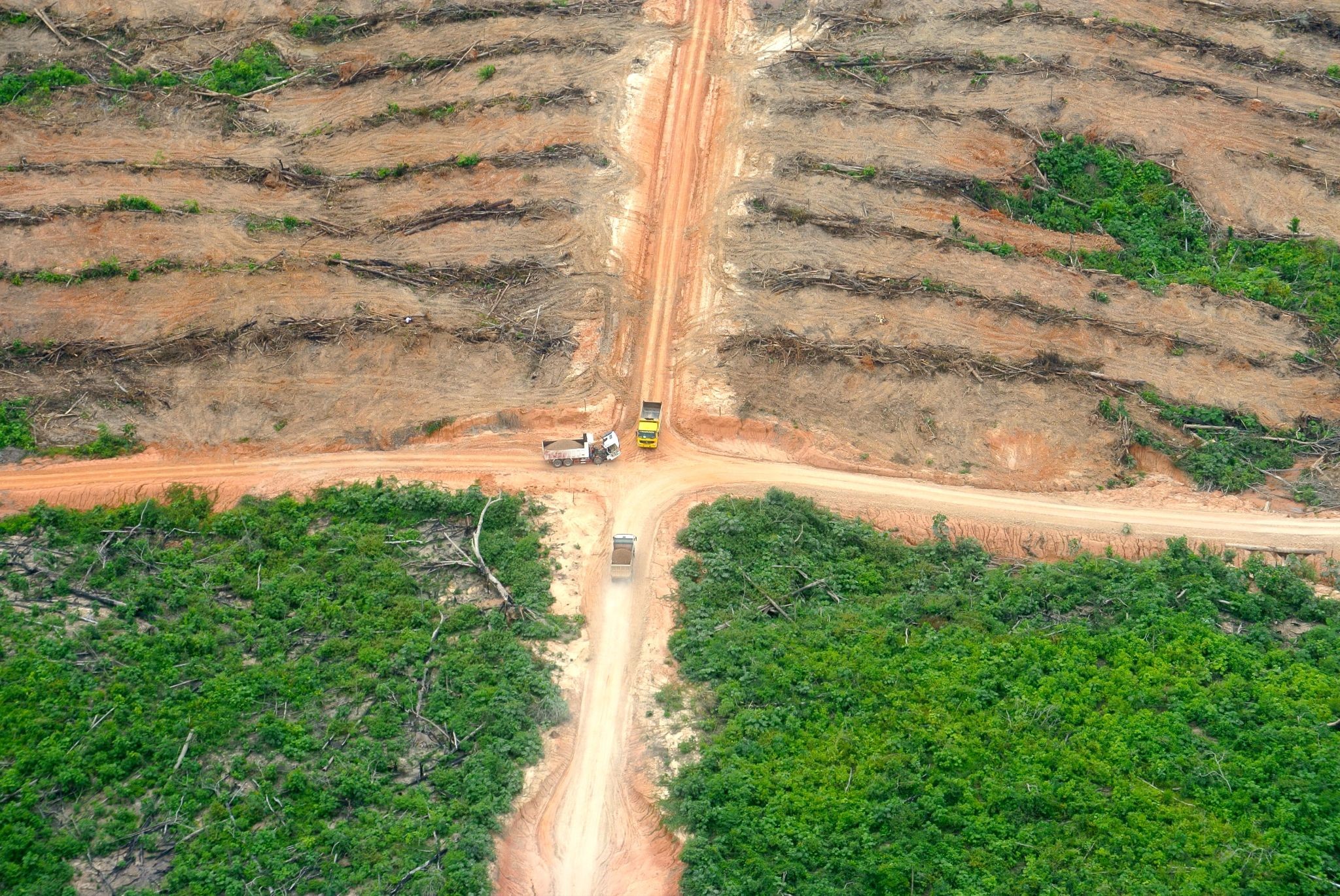 Cartographie des terres déforestées en Afrique