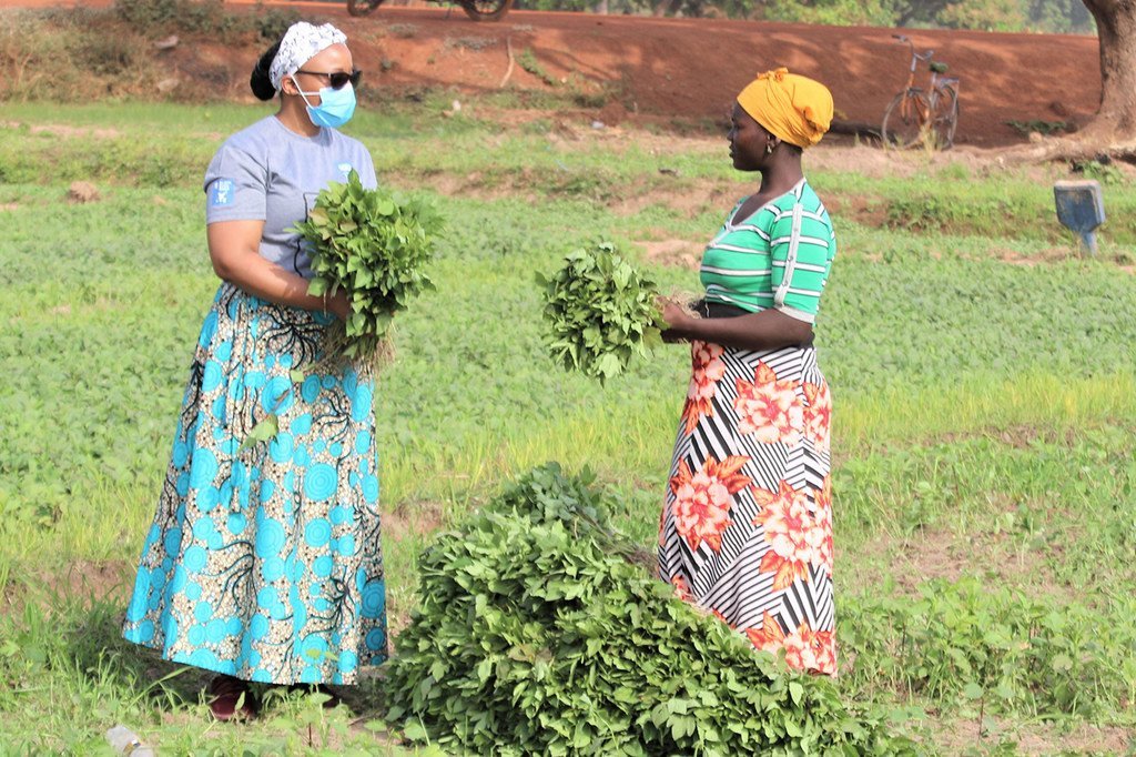 L’agritourisme en Afrique, source de revenus alternative pour les communautés rurales