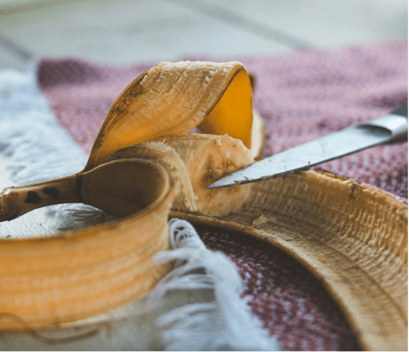Un tiers de la production alimentaire mondiale est gaspillé