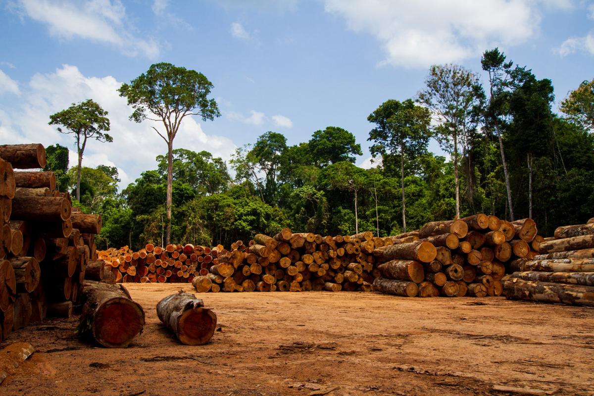 La gestion durable des ressources naturelles dans les zones agricoles en Afrique