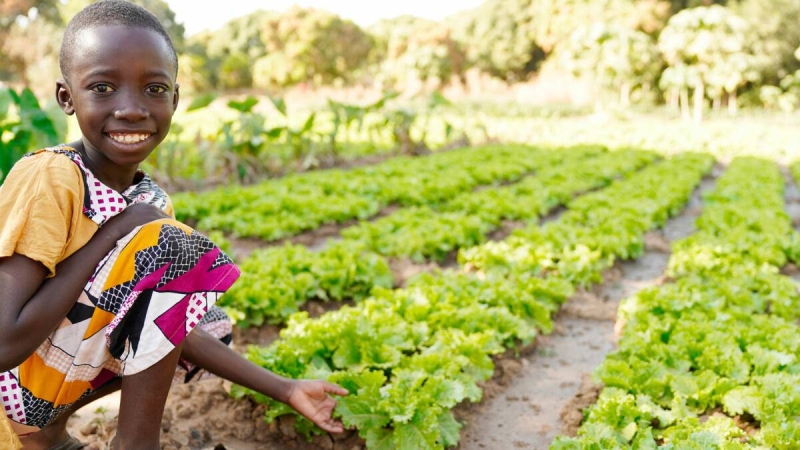 Le Togo consacrera 13 milliards de FCFA en 2024 à sa sécurité alimentaire
