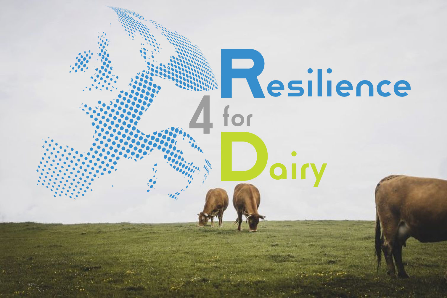La ferme européenne résiliente selon le projet Resilience4Dairy