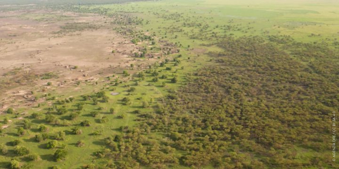 Comprendre l’effondrement du Sahara vert