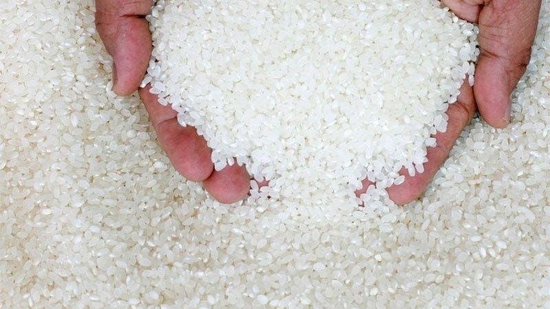 Chute de 11% des importations de riz par l’Afrique