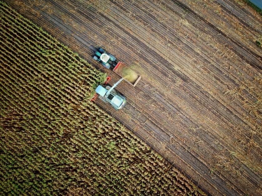 L’utilisation de l’IA et de l’automatisation transforme l’agriculture