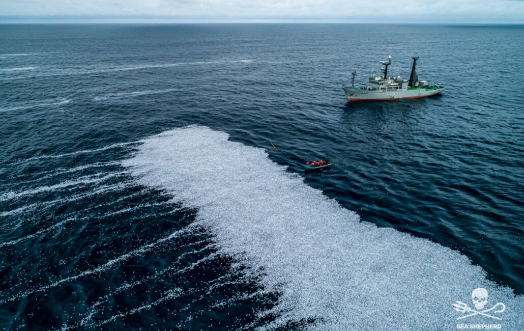 Sea Shepherd dénonce les pratiques d’aquaculture non durables en Norvège