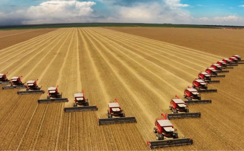 Les dangers de l’agriculture intensive : risques accrus de pandémies