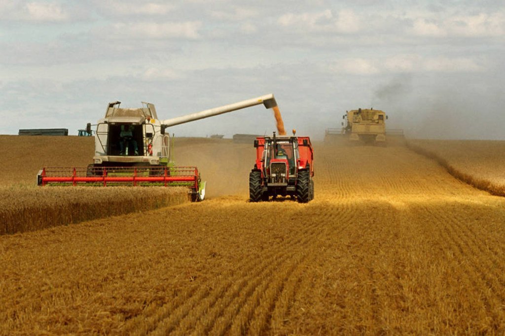 Prévisions optimistes pour les stocks mondiaux de céréales malgré des révisions à la baisse en Russie