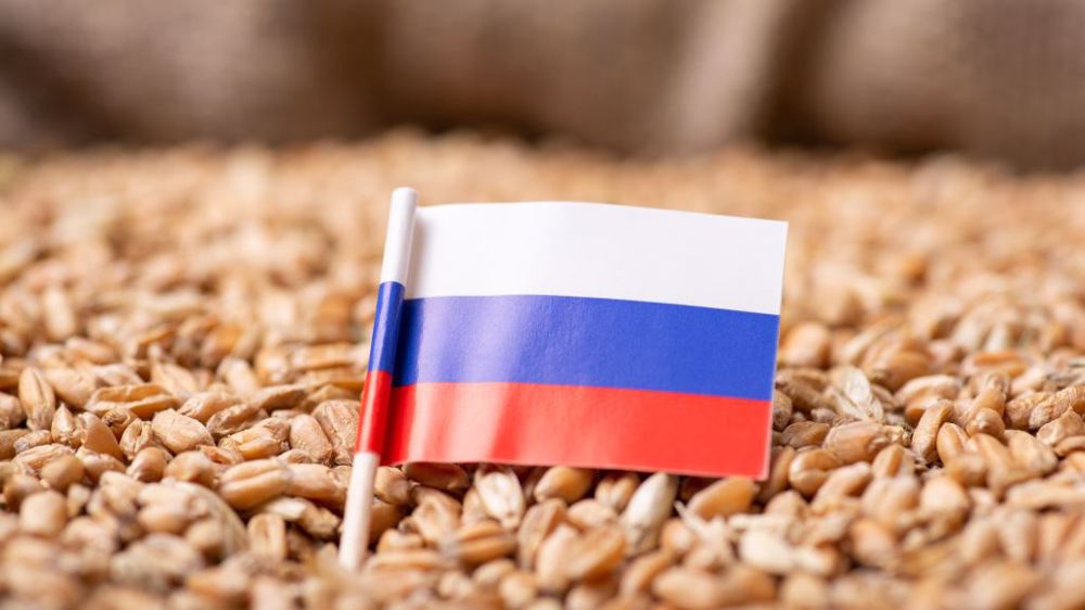 Augmentation de la production de blé en Russie