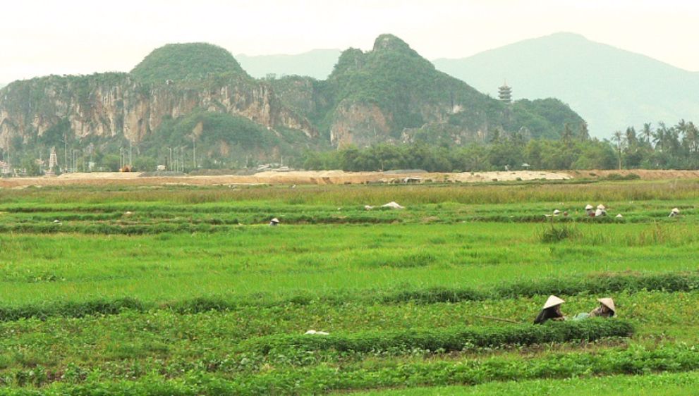 Chine : vers l’autosuffisance en soja