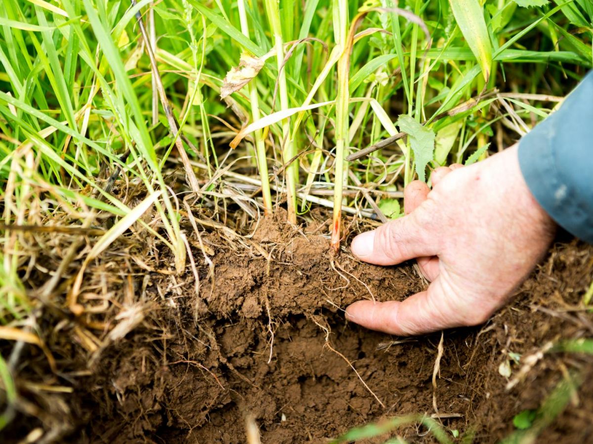 Développement de l’agriculture sans labour en Europe de l’Est