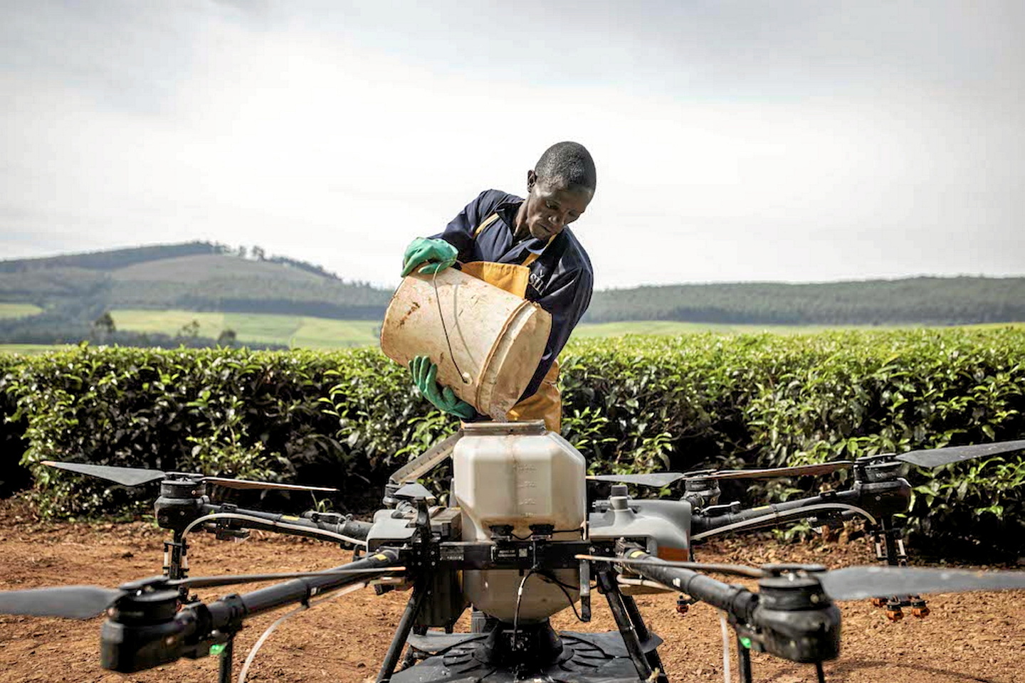 Rise of AgTech startups in Africa
