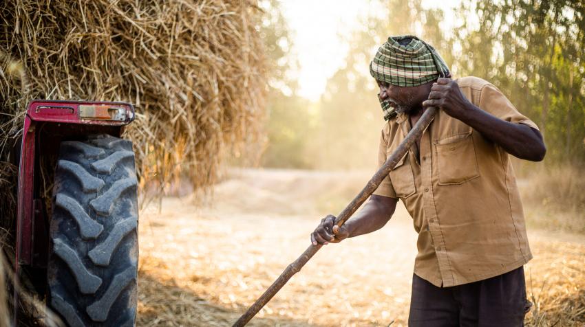 Les agriculteurs indiens changent de culture en raison de la hausse des températures
