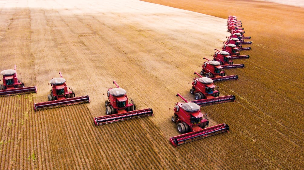 Brésil : les exportations de soja augmentent malgré les préoccupations environnementales