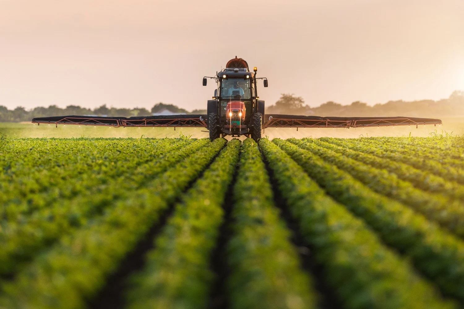 Pour une agriculture plus rentable et plus durable en France