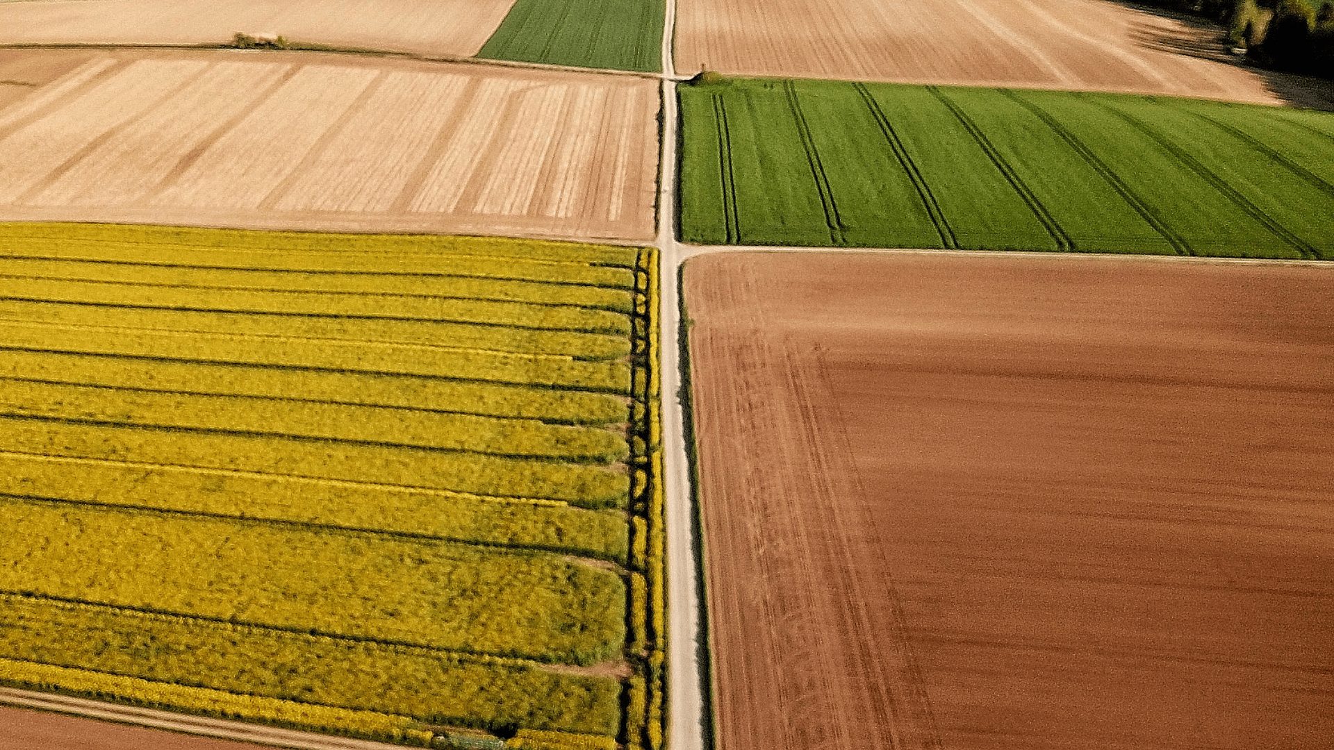 La diversification agricole comme  levier de rentabilité, de biodiversité et de durabilité aux Etats-Unis