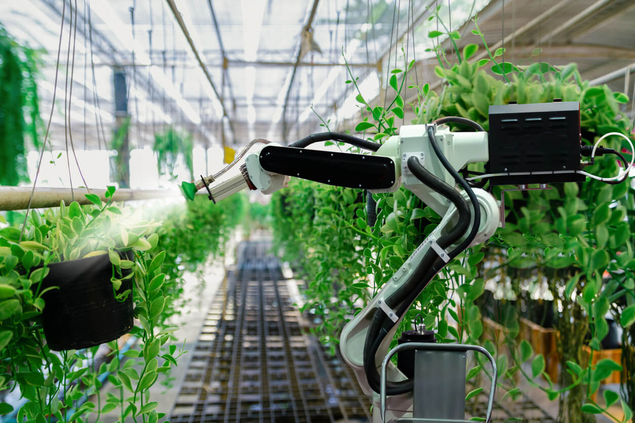 L’agriculture intelligente en Allemagne