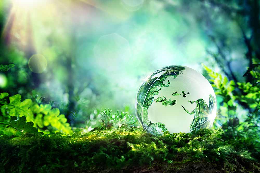 Le modèle suisse pour allier productivité et préservation de l’environnement