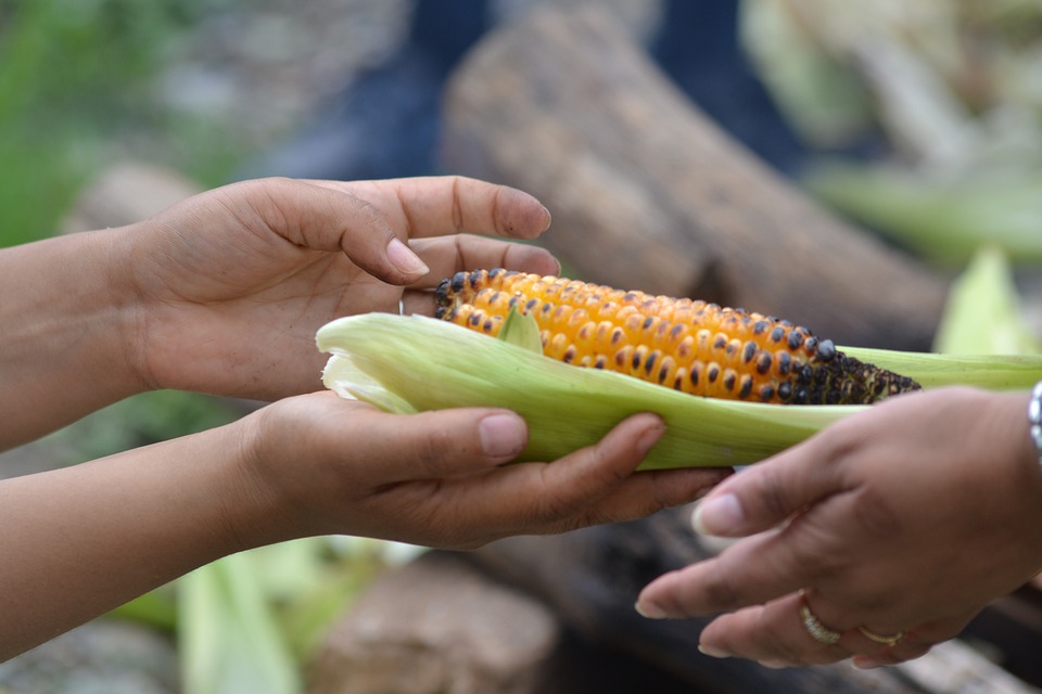 L’administration Trump maintient le programme d’aide alimentaire aux pays pauvres
