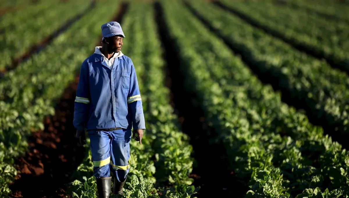 Les politiques post-malabo menacent les petits agriculteurs africains