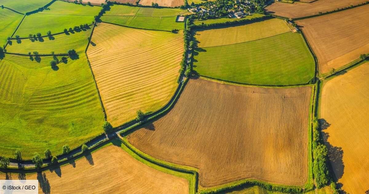 Le plus grand propriétaire terrien américain possède près d’un million d’hectares