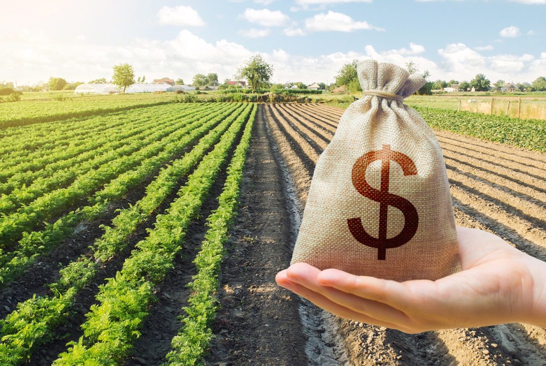 De la difficulté de financer l’agriculture des pays émergents