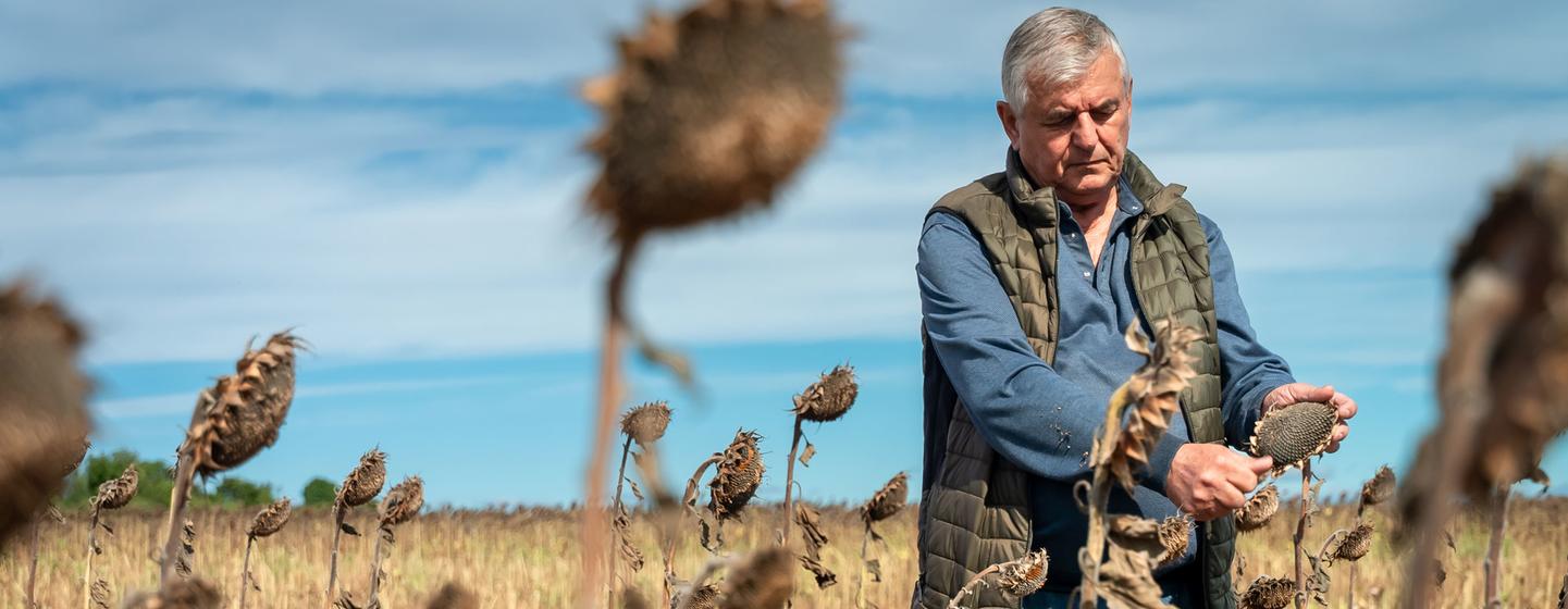 La FAO vole au secours des agriculteurs ukrainiens
