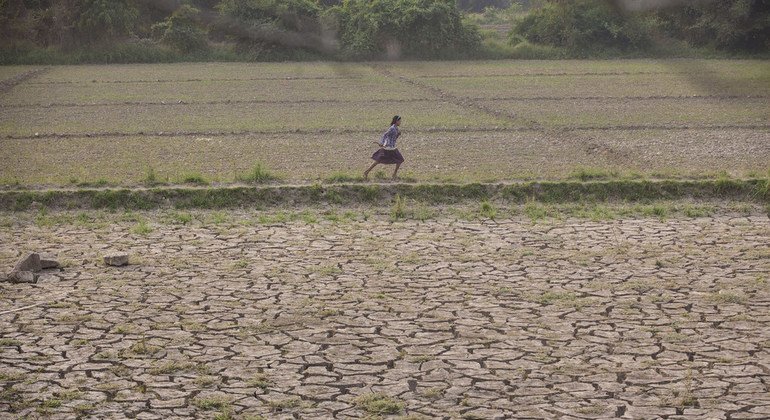La sécheresse, la guerre et l’inflation menacent la sécurité alimentaire
