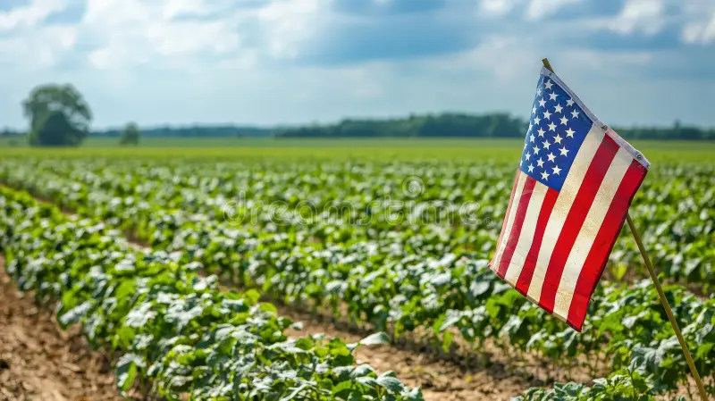 Les États-Unis cherchent désespérément des clients pour leur production agricole