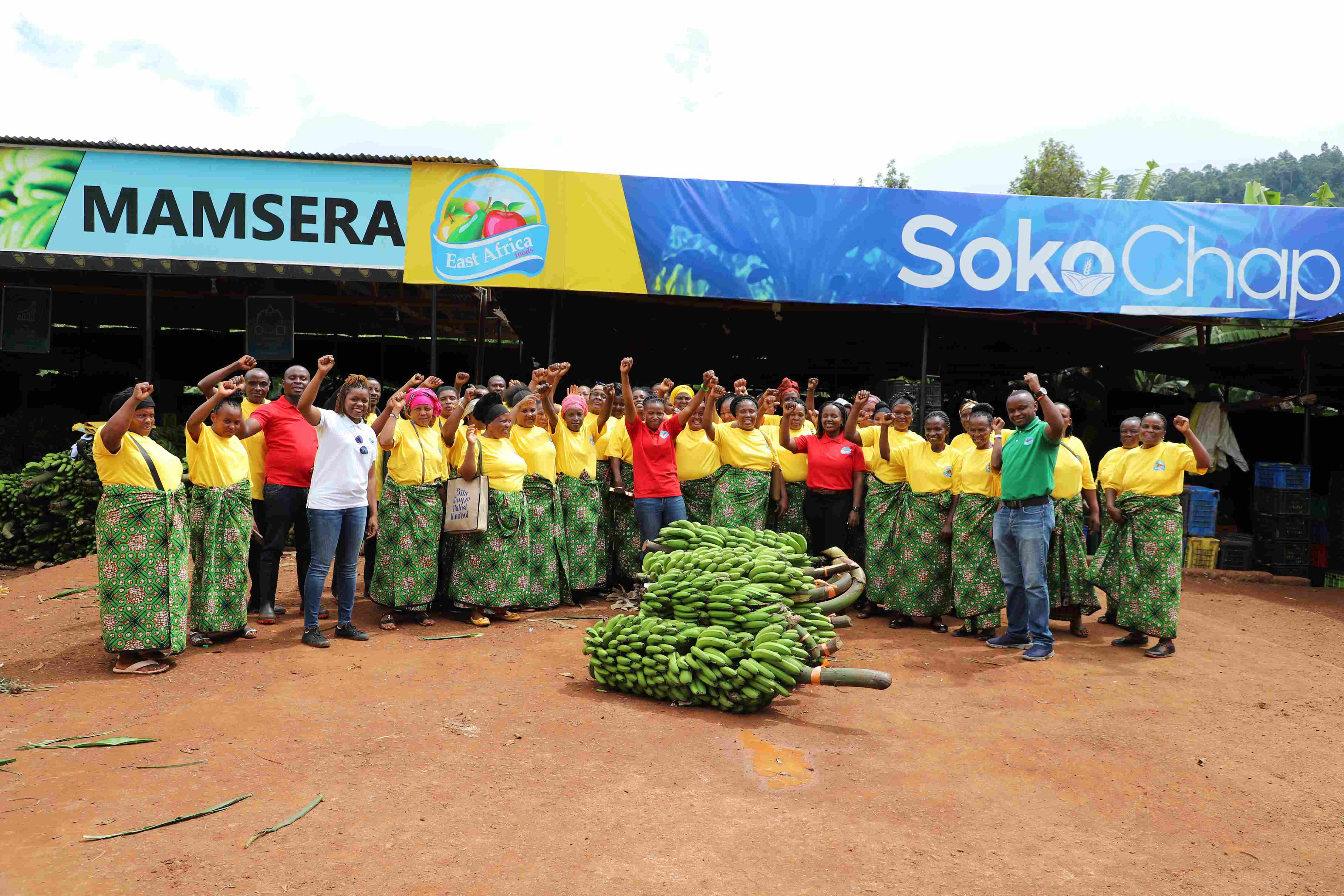 EA Foods, une plateforme de marché agricole digitale africaine