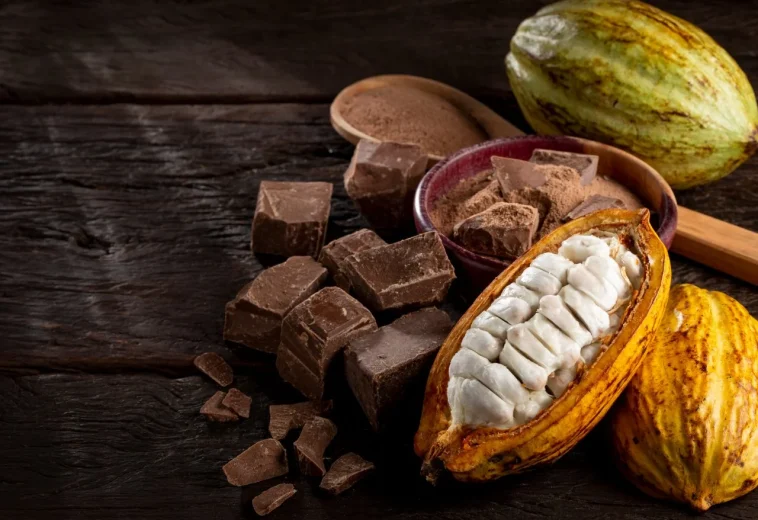 Soaring cocoa prices not benefiting farmers