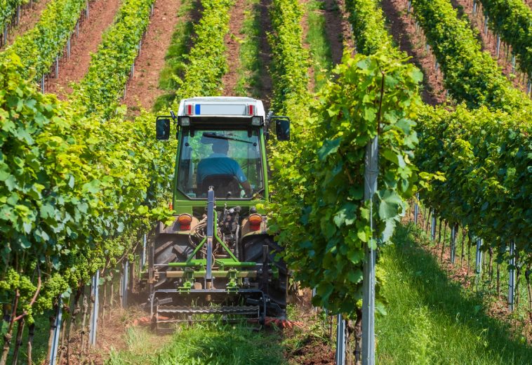 The European Union’s retreat on the requirements of sustainable agriculture
