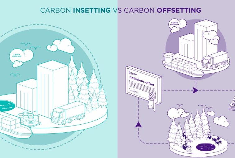Insetting versus offsets