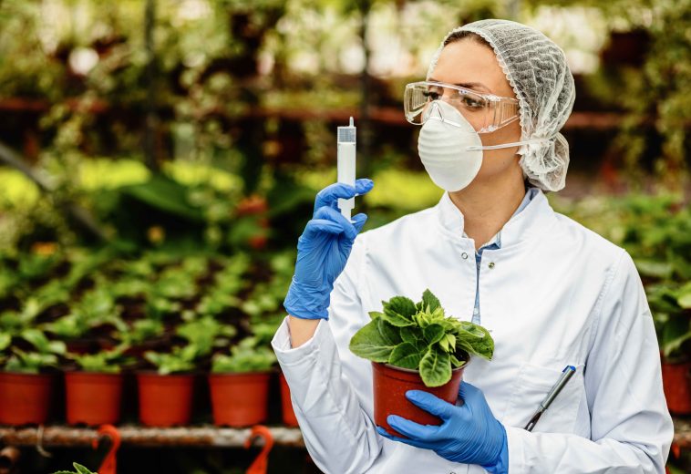 Comment les plantes pourraient nous aider à détecter les polluants éternels