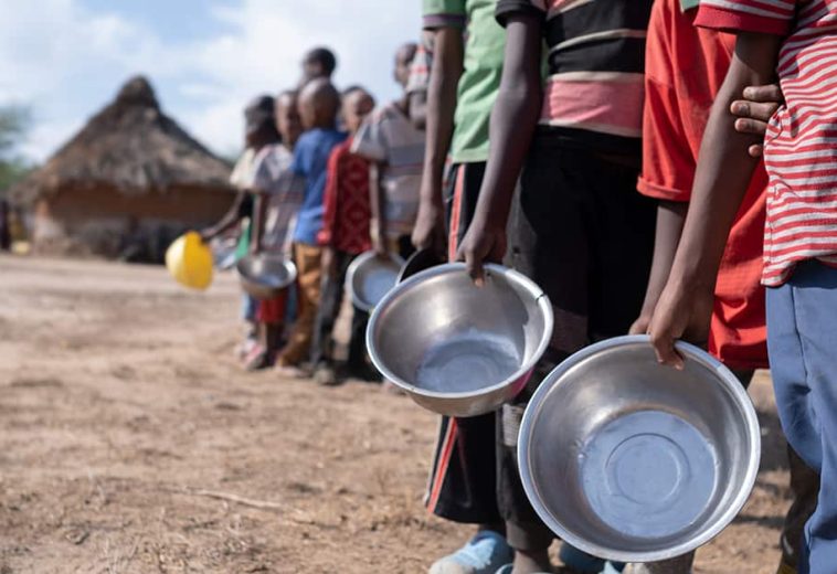 Policy Center for the New South: Achieving Food Security in Africa: What Prospects Lie Ahead?